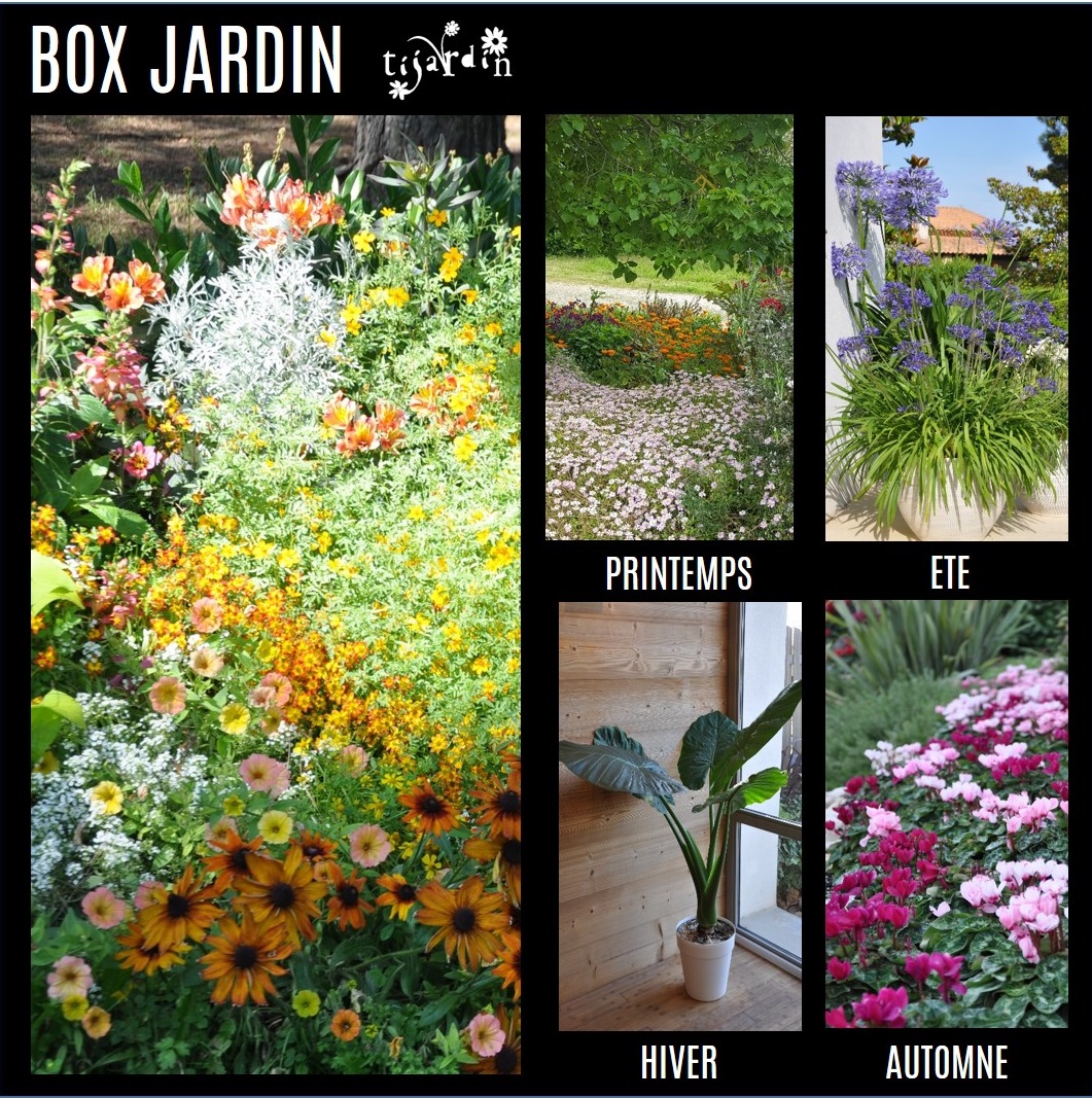 Box 4 saisons Jardin